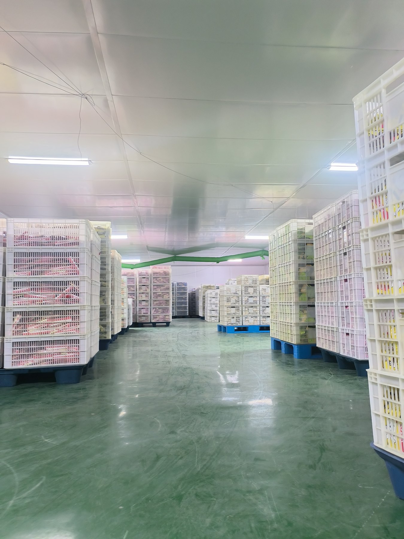 Inspection and release at Aumeats Jinqiu Wet Food Production Base