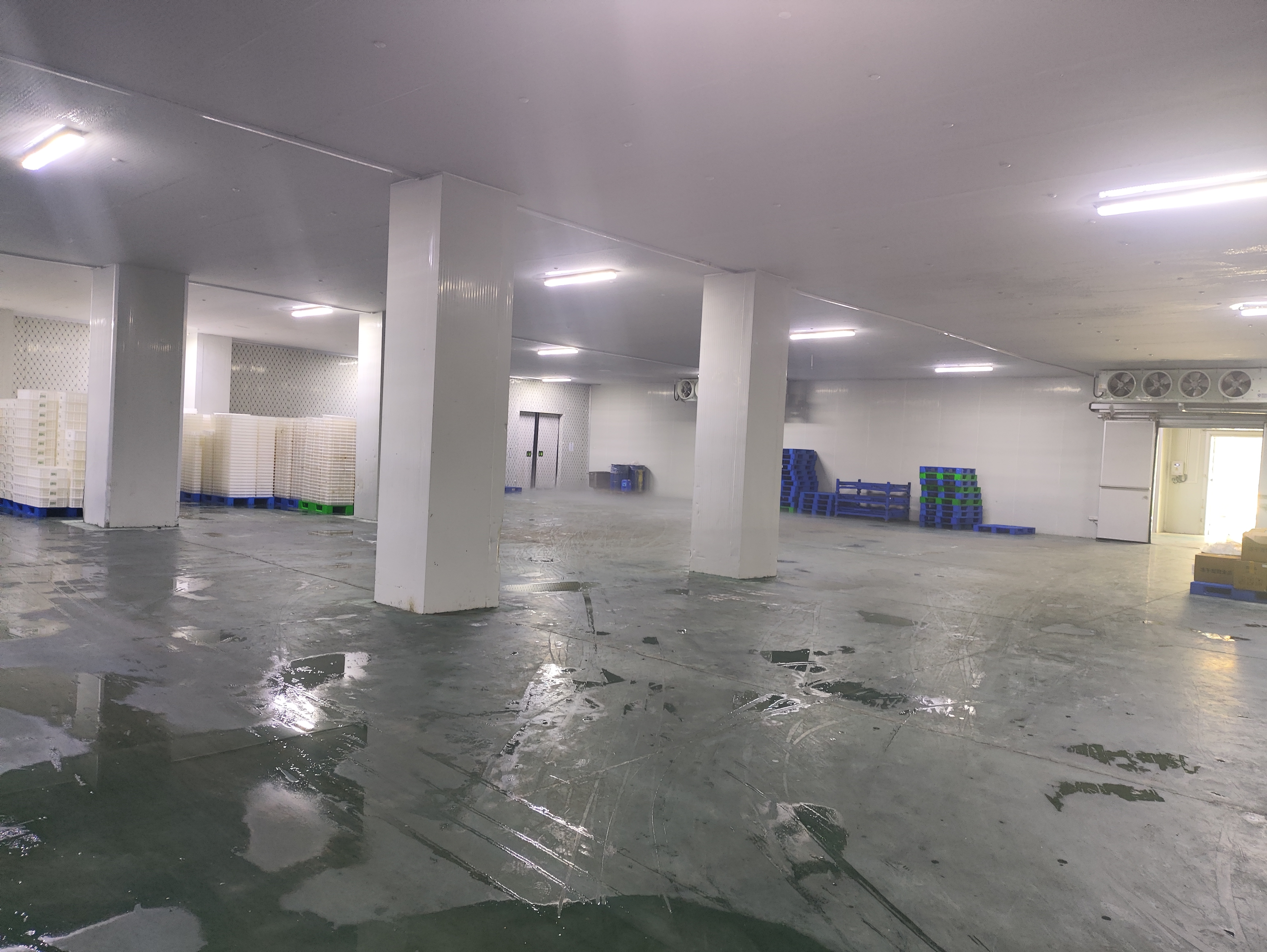 Release and delivery at Aumeats Xincaihong Freeze-Dried Production Base