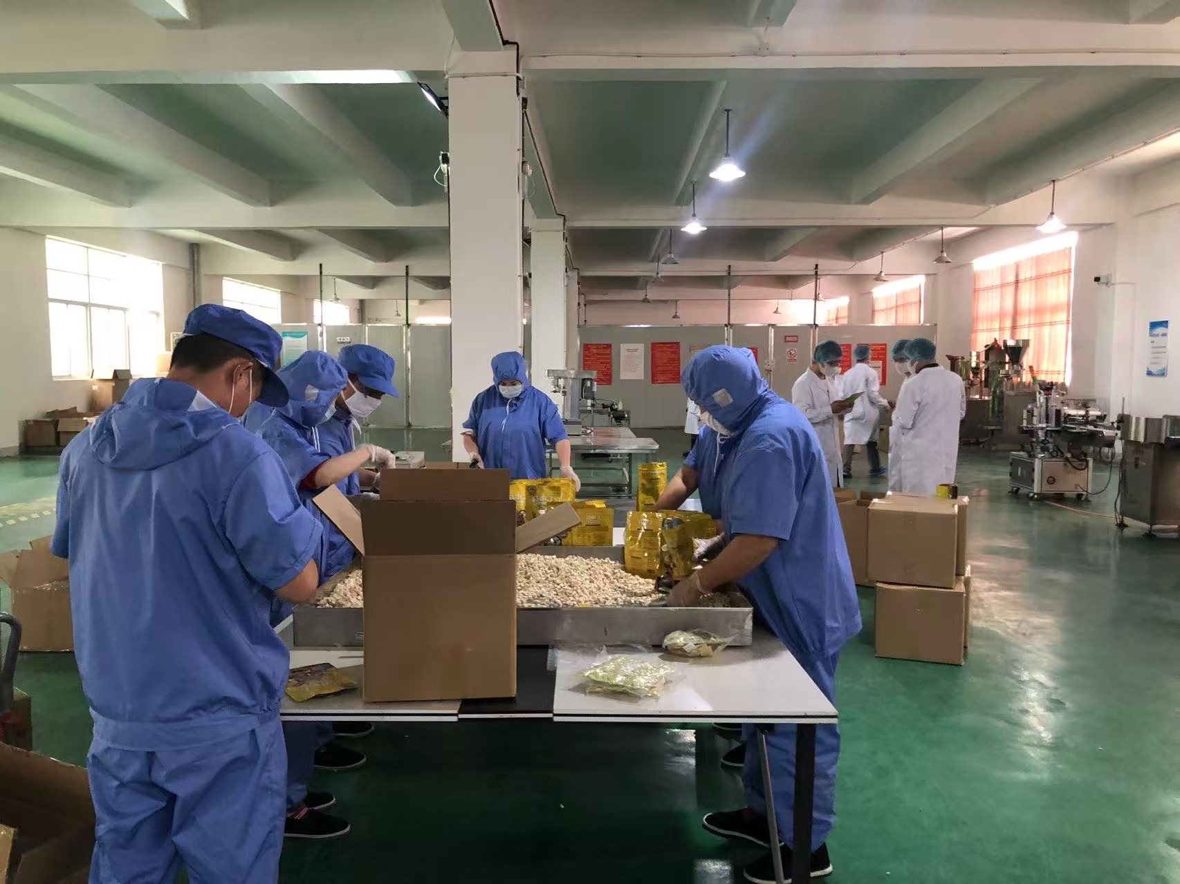 Aumeats Xincaihong Freeze-Dried Production Base evidence 4