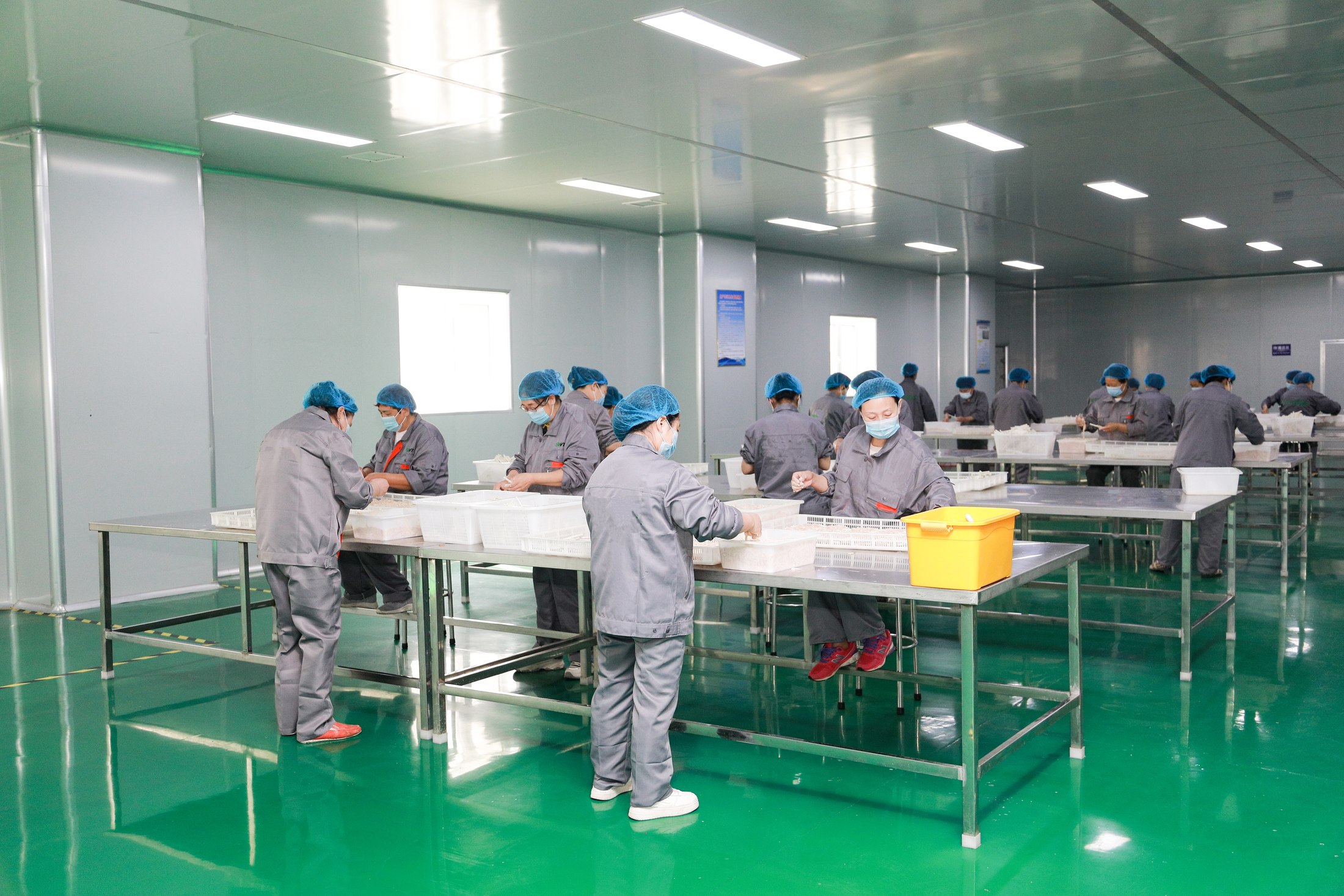 Aumeats Yida Meat Treat & Chew Production Base